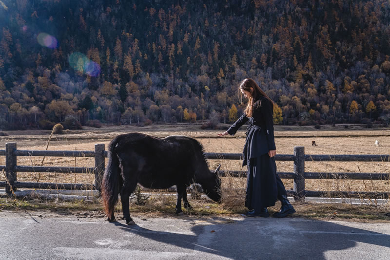让黑名单车辆寸步难行，广西交警有查车“神器”