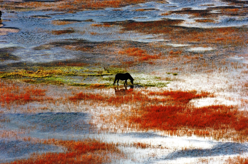 喀什到西藏拉萨旅游