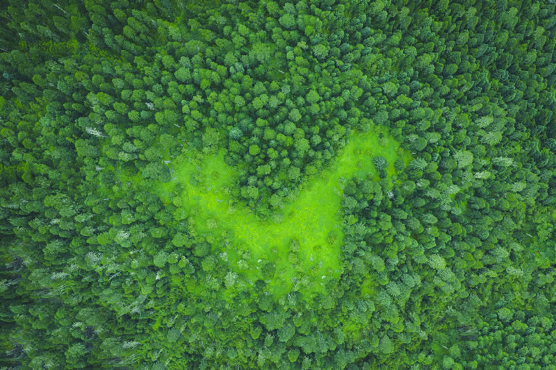 青铜峡到西藏拉萨旅游