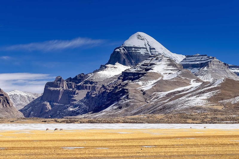 灵武市到西藏拉萨旅游