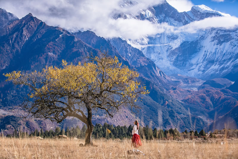 铁岭到西藏拉萨旅游