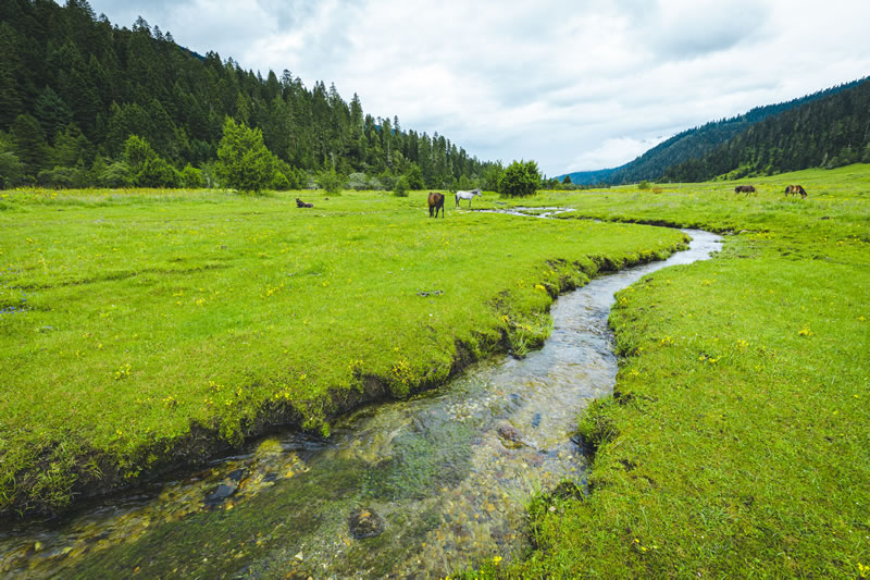 洛阳到西藏拉萨旅游