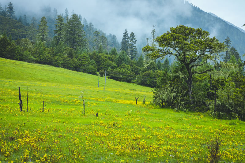 茂名到西藏拉萨旅游