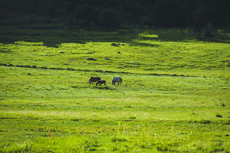 铜陵市到西藏拉萨旅游